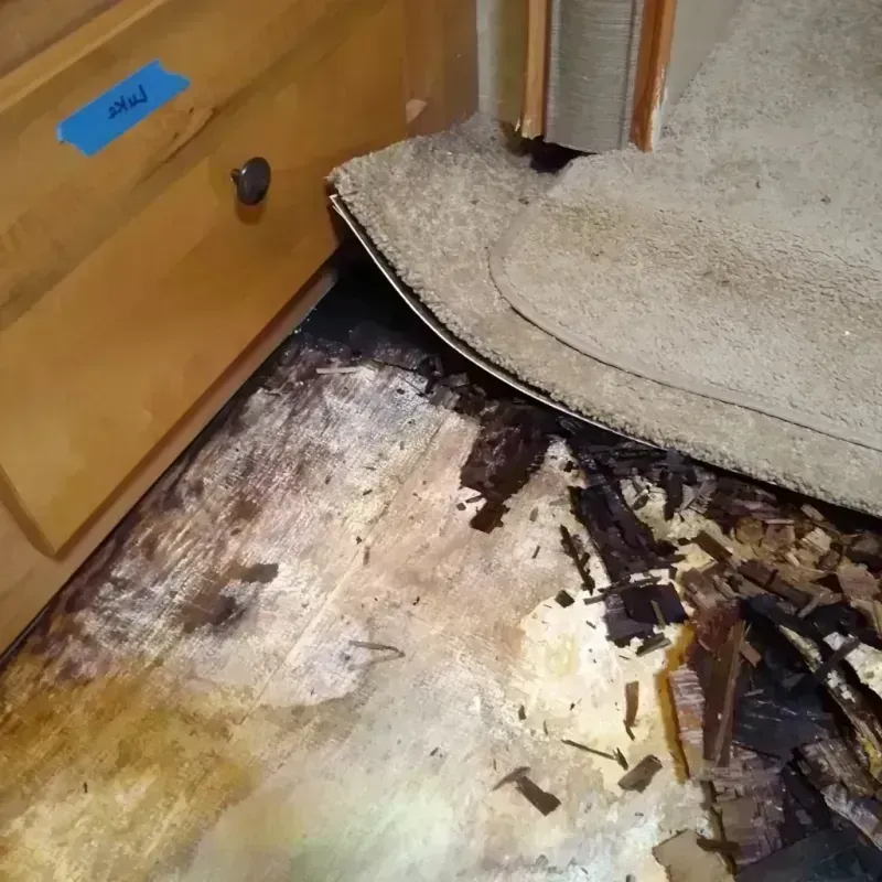 Wood Floor Water Damage in Reminderville, OH